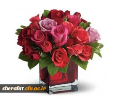 پیام دکتر طباطبائی به مناسب آغاز سال تحصیلی جدید 2