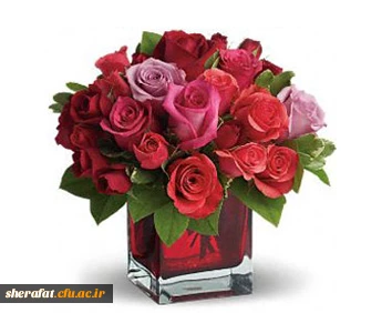 پیام دکتر طباطبائی به مناسب آغاز سال تحصیلی جدید 2