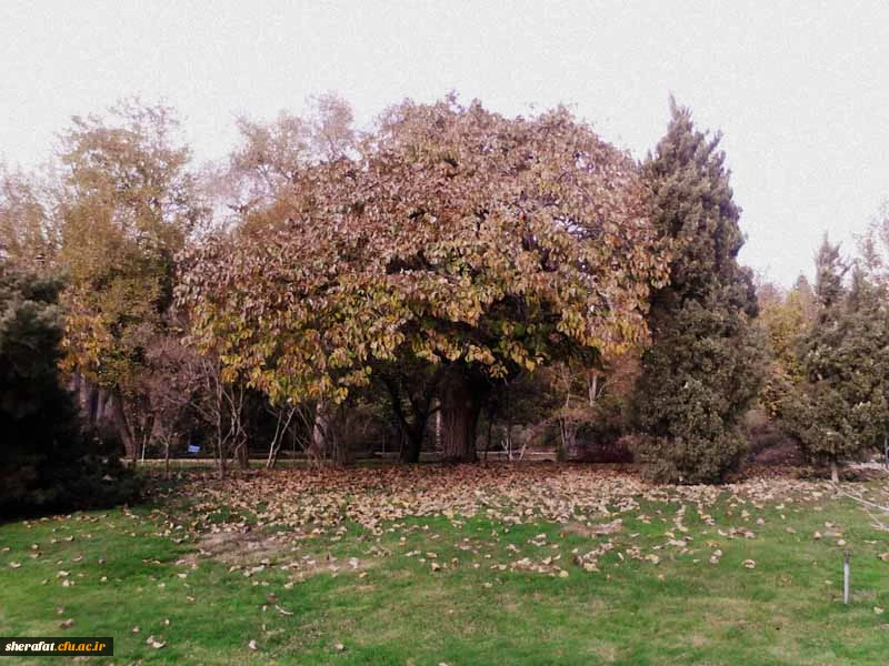 بازدید باغ گیاه شناسی  3