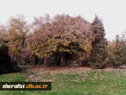 بازدید باغ گیاه شناسی  3