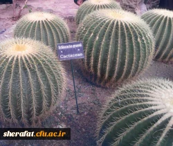 بازدید باغ گیاه شناسی  4