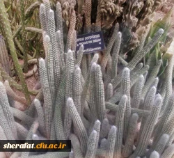 بازدید باغ گیاه شناسی  5