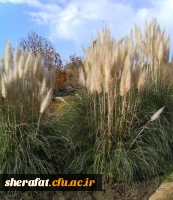 بازدید باغ گیاه شناسی  7