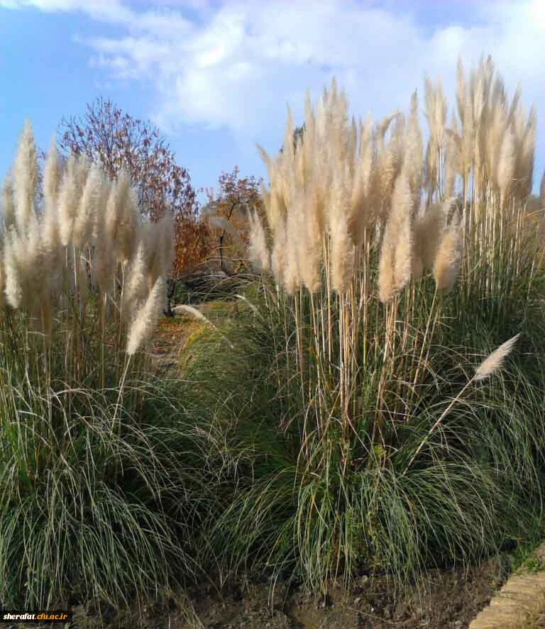 بازدید باغ گیاه شناسی  7