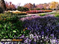 بازدید باغ گیاه شناسی  8