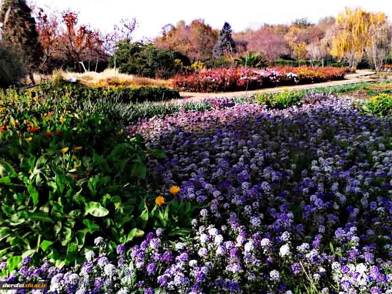 بازدید باغ گیاه شناسی  8