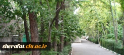 فضای سبز دانشکده