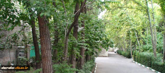 فضای سبز دانشکده