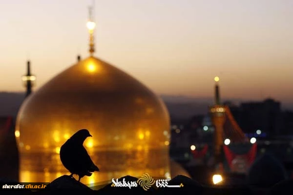 کاروان مشهد مقدس