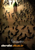 ولادت منجی عالم بشریت حضرت اباصالح المهدی عجل الله تعالی فرجه الشریف مبارک باد 3