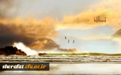 ولادت منجی عالم بشریت حضرت اباصالح المهدی عجل الله تعالی فرجه الشریف مبارک باد 4