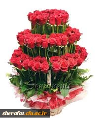 تقدیر و تشکر جمعی از دانشجویان رشته ادبیات فارسی از استاد سرکار خانم دکتر طباطبایی 2