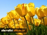 اولین جلسه هم اندیشی اساتید در سال تحصیلی 95-94 با حضور سرپرست محترم دانشکده شهید شرافت  2