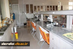 جلسه  بررسی  روند  