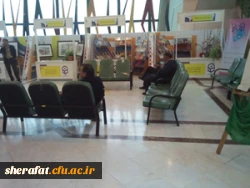 نمایشگاه هنری -پزوهشی باجمع آوری آثار هنری وپزوهشی اساتید ودانشجویان درفضای داخلی سینما فلسطین همزبان با اکران فیلم های جشنواره رشد 3