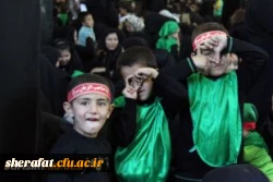 زهرا سلطان محمدی