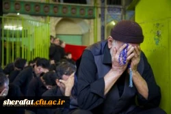 فاطمه گشانی