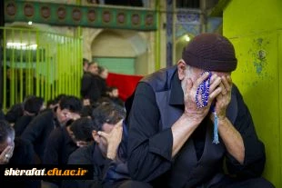 فاطمه گشانی