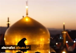 زمان دقیق اعزام کاروان مشهد