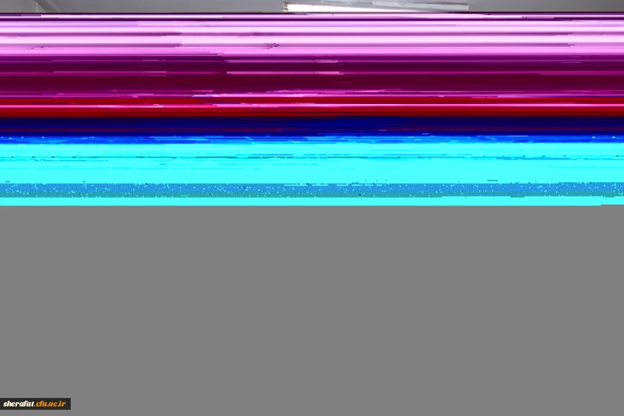 برگزاری انتخابات انجمن های علمی علوم پایه 3