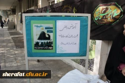 پویش مردمی طرح بافت کلاه برای مدافعان حرم 5