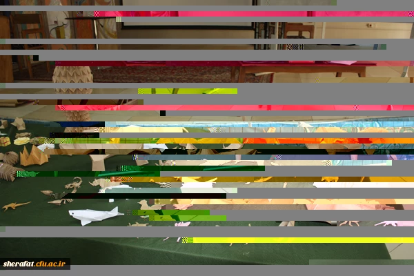 برگزاری کارگاه آموزشی اریگامی(کاردستی با کاغذ) 2