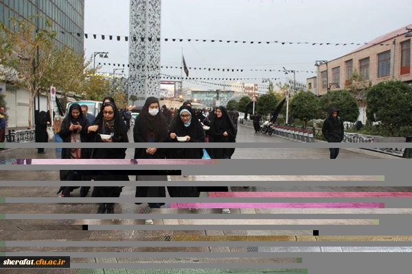 پیاده روی قافله جاماندگان اربعین در تهران

حضور پر شور دانشجویان شهید شرافت در راهپیمایی اربعین به سمت حرم شاه عبدالعظیم حسنی 3