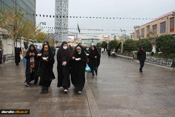 پیاده روی قافله جاماندگان اربعین در تهران

حضور پر شور دانشجویان شهید شرافت در راهپیمایی اربعین به سمت حرم شاه عبدالعظیم حسنی 2