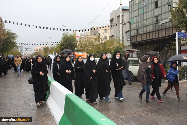 پیاده روی قافله جاماندگان اربعین در تهران

حضور پر شور دانشجویان شهید شرافت در راهپیمایی اربعین به سمت حرم شاه عبدالعظیم حسنی 3