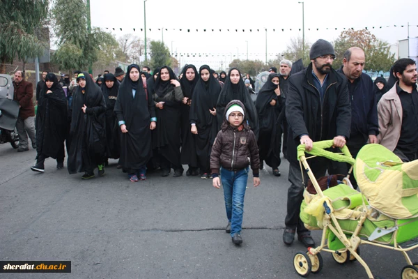 پیاده روی قافله جاماندگان اربعین در تهران

حضور پر شور دانشجویان شهید شرافت در راهپیمایی اربعین به سمت حرم شاه عبدالعظیم حسنی 2