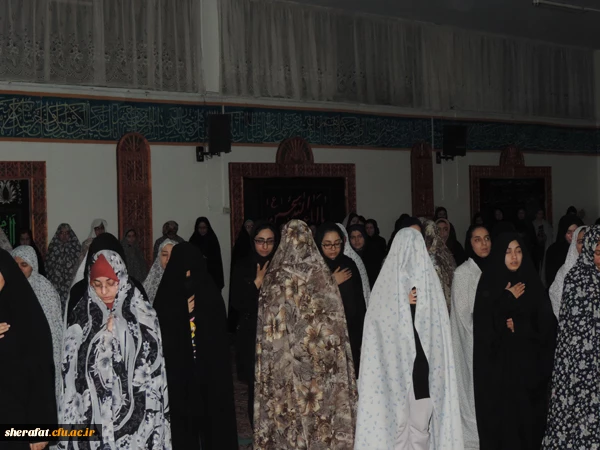 مراسم عزاداری اربعین حسینی

همزمان با اربعین حسینی خیمه عزای سید الشهدا (ع) در مرکز شهید شرافت به همت هیئت دانشجویی برپا شد 2