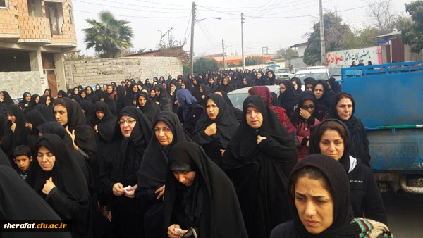 مراسم تشییع وخاکسپاری دانشجو معلم عزیز شیدا زارعی

دانشجو معلم شیدا زارعی با حضور مردم خوب مازندران و هیئت اعزامی از دانشگاه شهید شرافت به خانه ابدی خویش بدرقه شد. 3