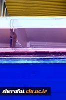 تحول در شرافت از مرداد95تا بهمن 95 5