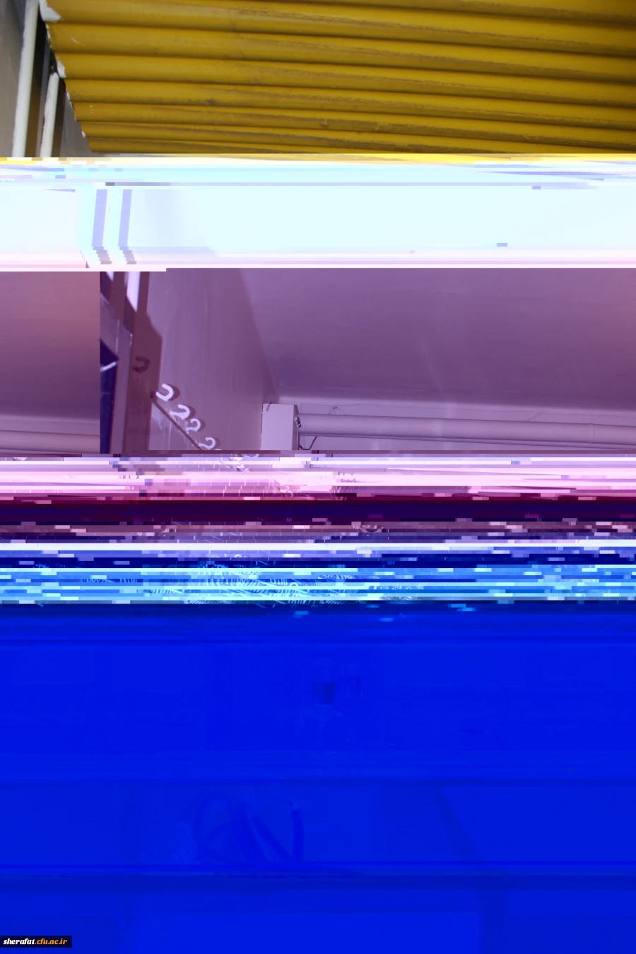 تحول در شرافت از مرداد95تا بهمن 95 5