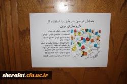 همایش گروه شیمی با عنوان:درمان سرطان با استفاده از دارو سازی نوین 3