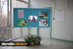 همایش اقتصاد مقاومتی با تاکید بر نقش بیمه  های تامین  اجتماعی 7