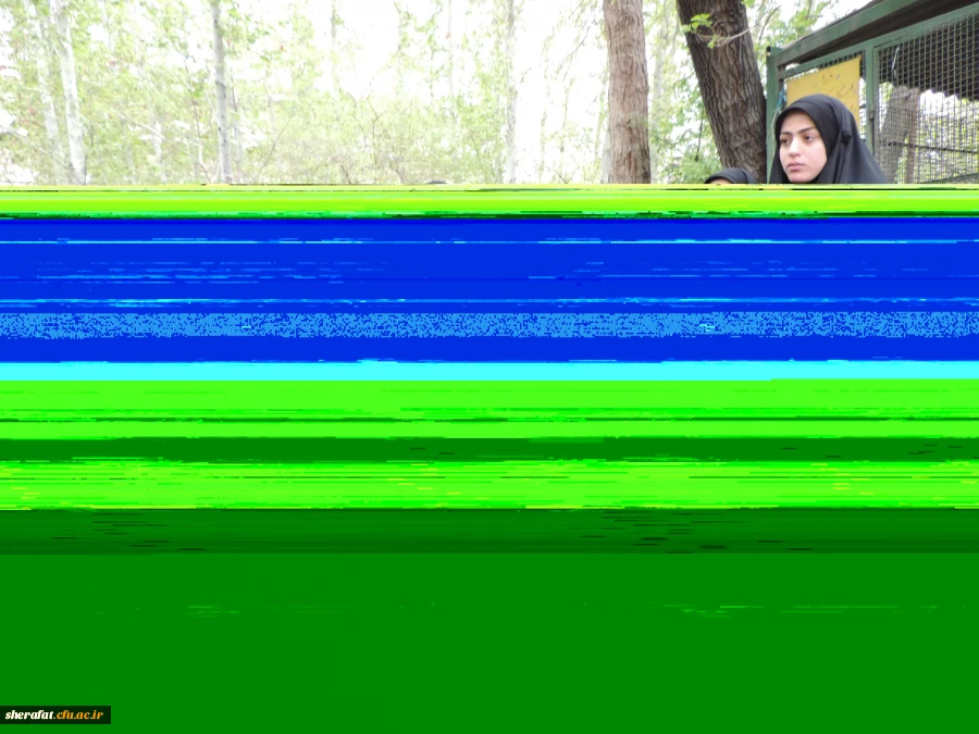 برگزاری مراسم اعتکاف دانشجویان مرکز آموزش عالی شهید شرافت در مسجد جامع شهید عباسپور دانشگاه شهید بهشتی 4