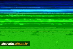 مراسم یادبود برادر گرامی سرکار خانم غفاریان 5