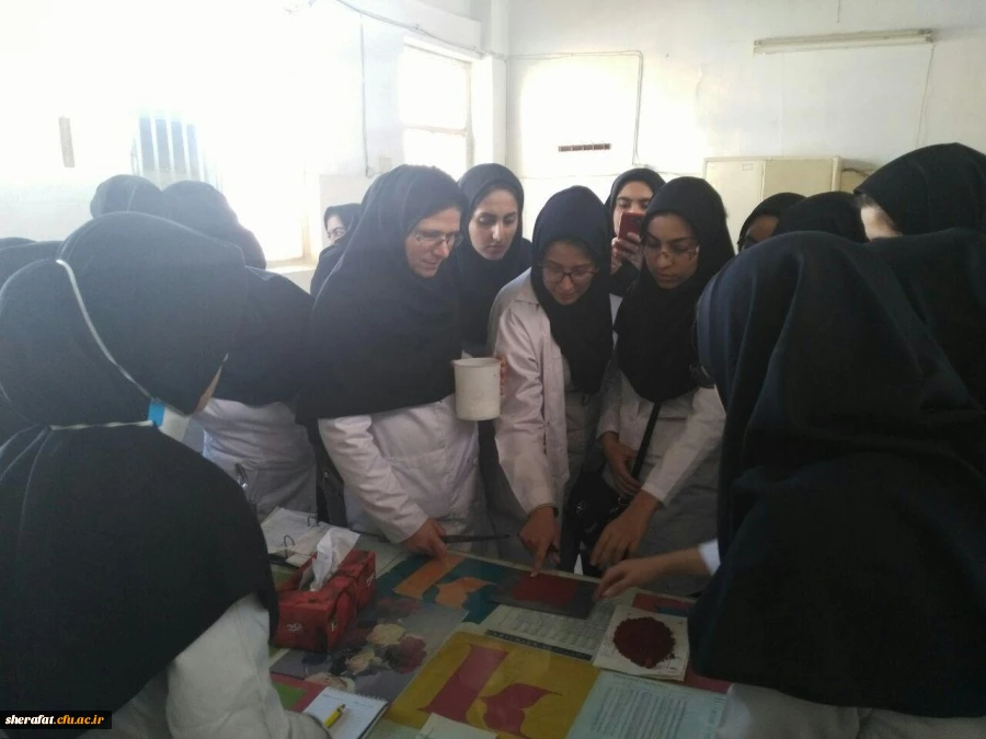 بازدید علمی دانشجویان رشته شیمی مرکز آموزش عالی شهید شرافت از کارخانه رنگ کیمیا 4