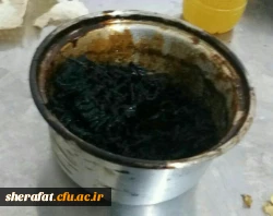 ازسوختن هویج در قابلمه تا آتش سوزی و انفجار!!! 2