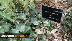 بازدید علمی دانشجویان زیست شناسی از باغ ملی گیاه شناسی ایران 7