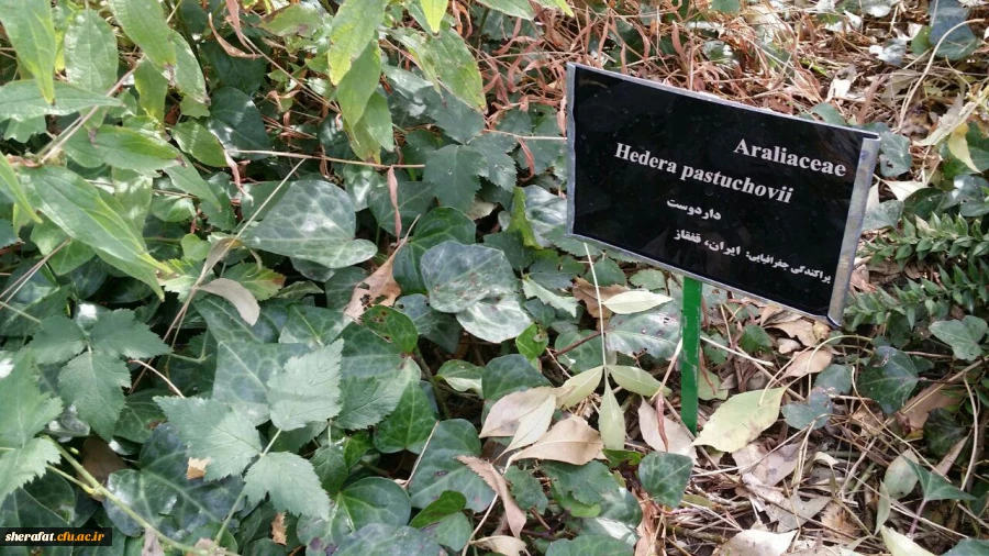 بازدید علمی دانشجویان زیست شناسی از باغ ملی گیاه شناسی ایران 7