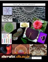 آیا تمام عناصر دنیا معادله هستند؟ 2