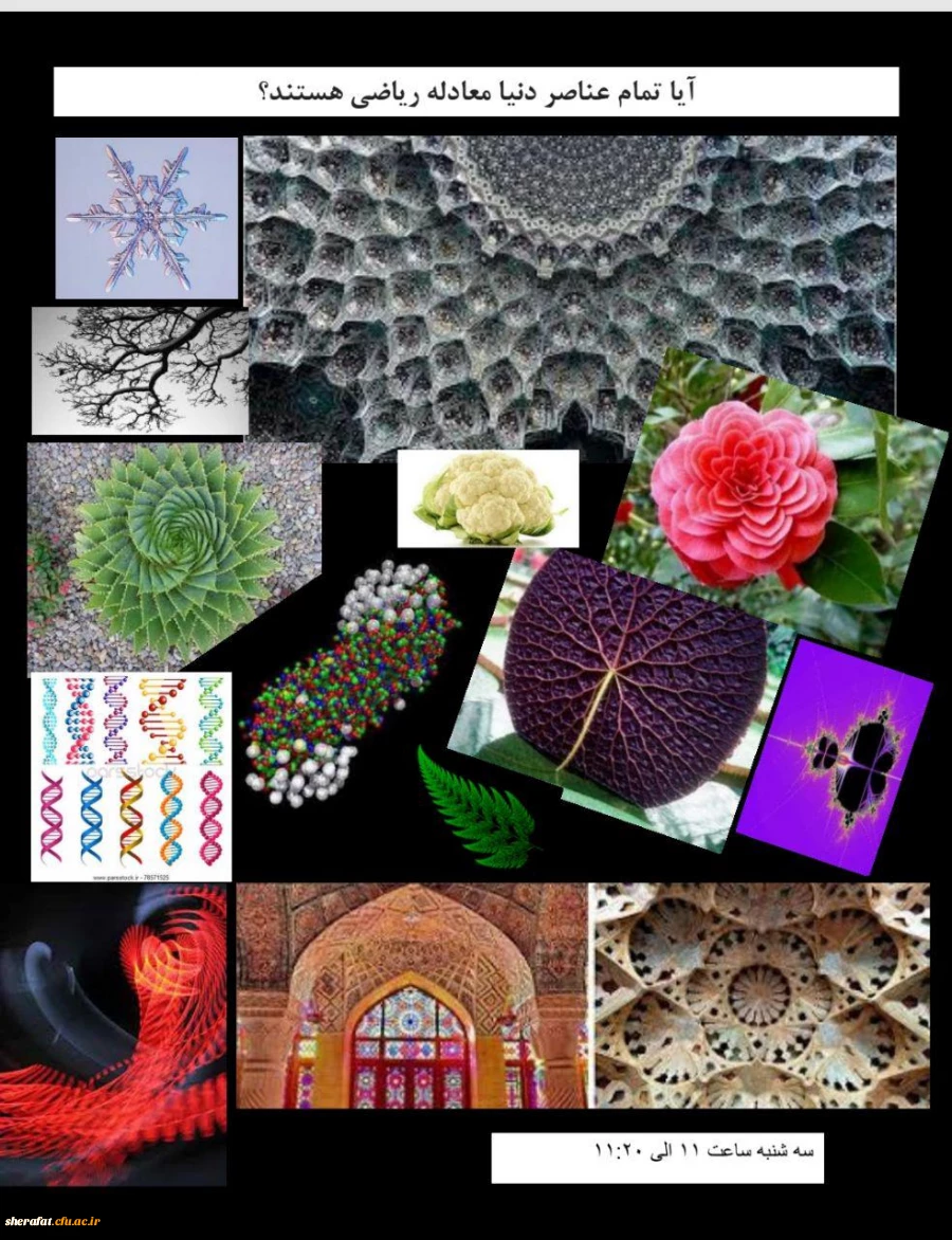 آیا تمام عناصر دنیا معادله هستند؟ 2