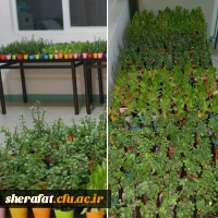 جشن بزرگ روز دانشجو 6