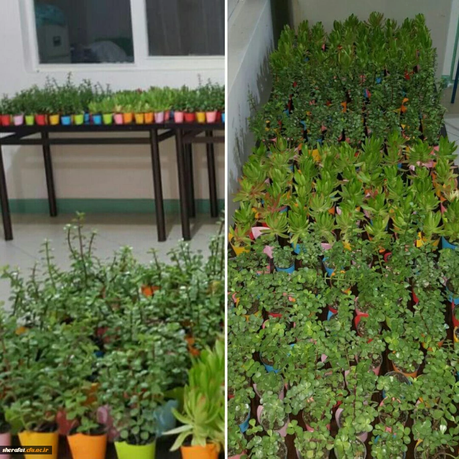 جشن بزرگ روز دانشجو 6