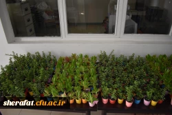 جشن بزرگ روز دانشجو 9