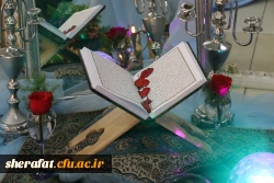 ازدواج دانشجویی 2