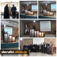 جشنواره تجربیات برتر آموزشی - تربیتی اساتید و معلمان در آموزش هنر 15