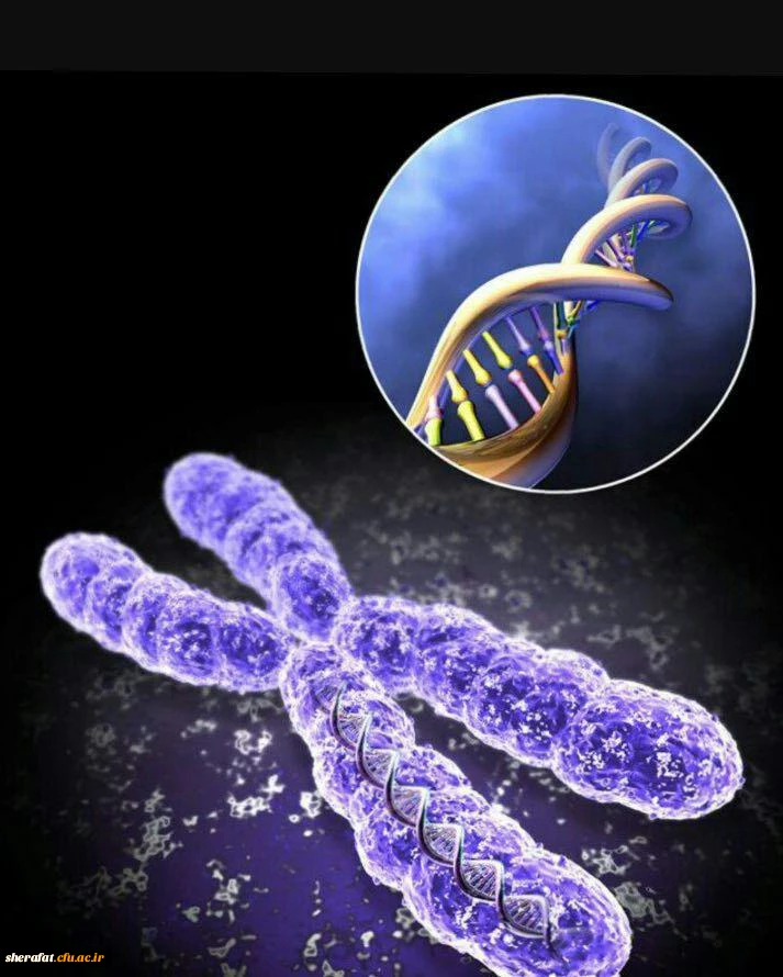 نمایشگاه دانستنی های جالب ژنتیکی 2